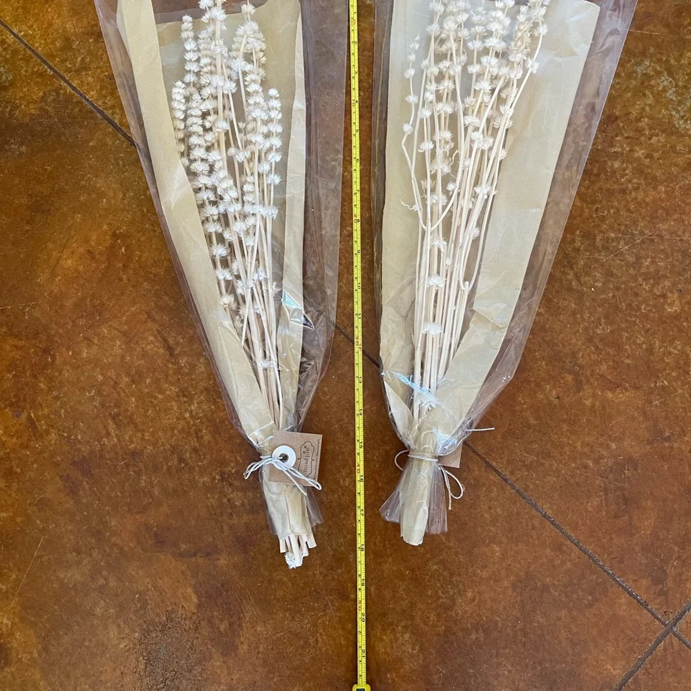 🎉HP🎉Preserved Lions Grass…beautiful! This deal comes with 2 packs!🎉HP🎉 - Picture 5 of 5